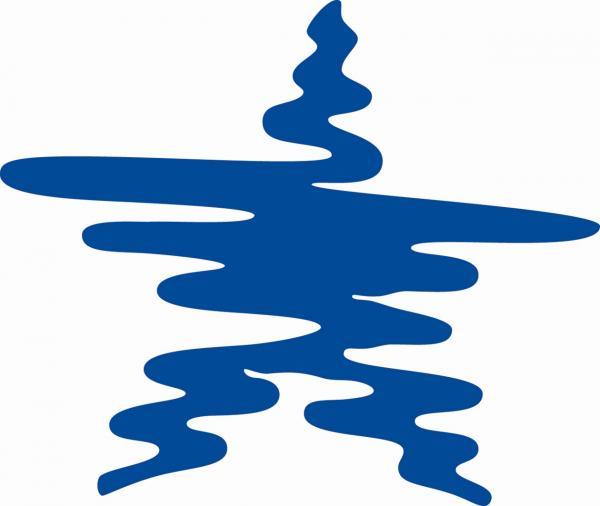 Imagination Stage blue star logo